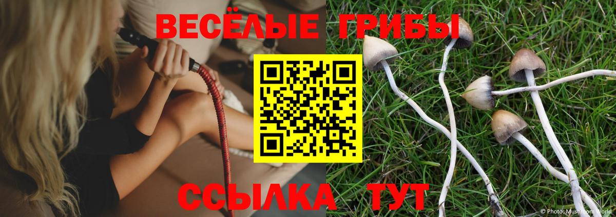 Псилоцибиновые грибы GOLDEN TEACHER Сунжа