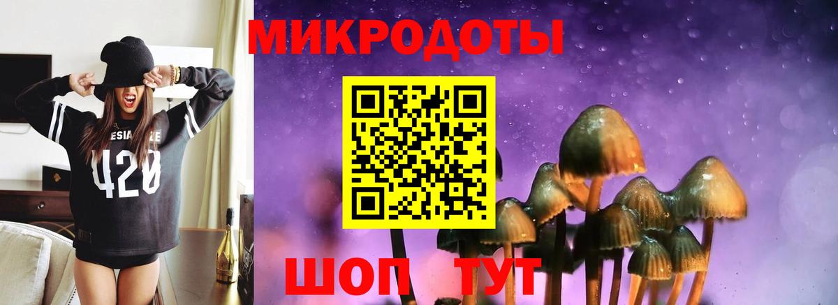 Галлюциногенные грибы мицелий  Псилоцибиновые грибы Magic Shrooms  Сунжа  Вход с VPN 