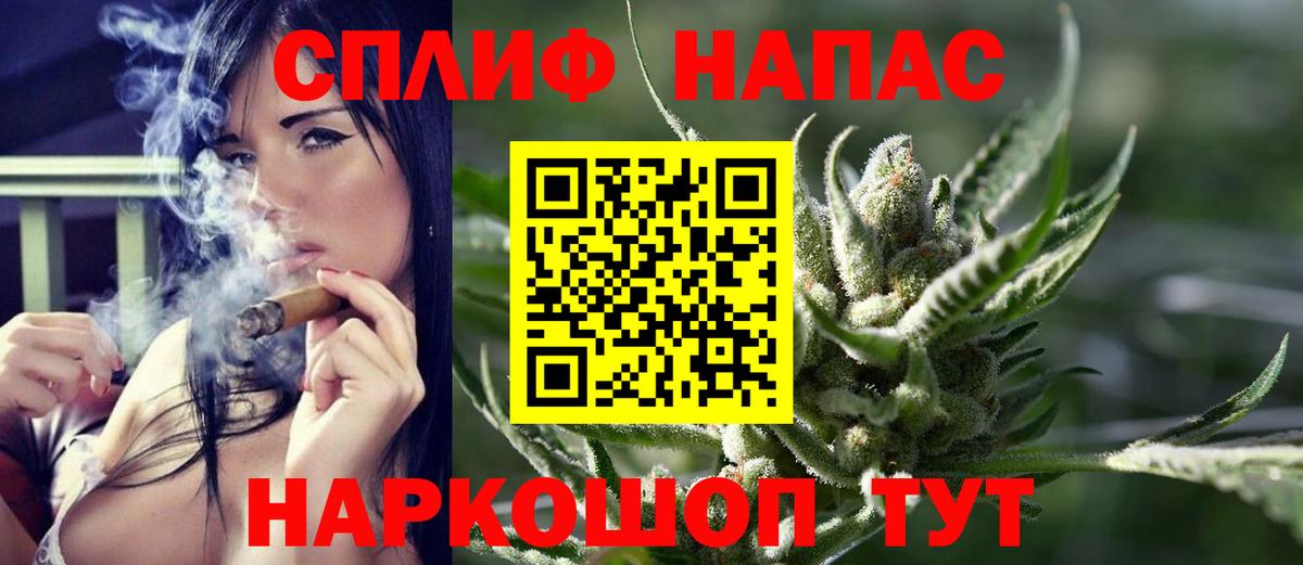 Сунжа  Марихуана семена  Бошки марихуана планчик  Марихуана Bruce Banner  Вход с VPN 